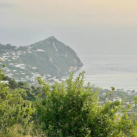 Tenuta Le Maria Al Monte Sole * Ischia