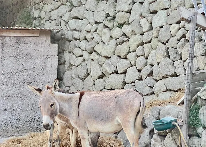 Apartamento Tenuta Le Maria Al Monte Sole